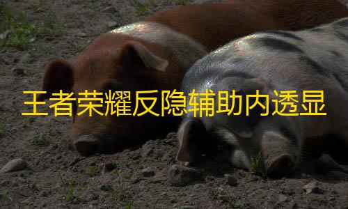 暗区突围科技直装免费王者荣耀反隐辅助内透显CD安卓版V9.12