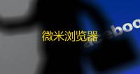 微米浏览器